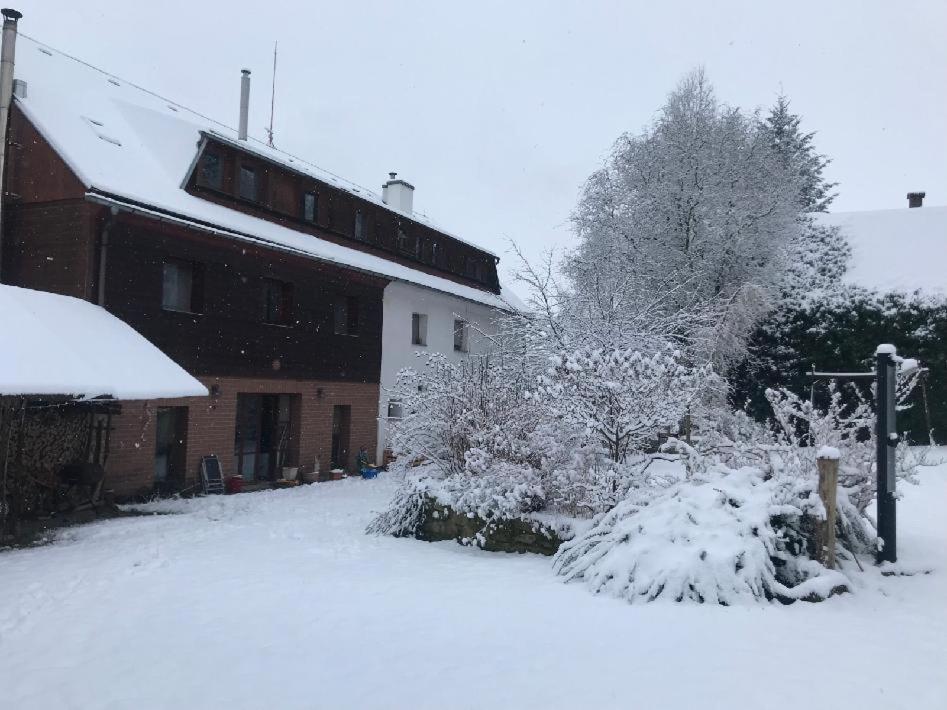 Apartmany Dolni Vitkov Chrastava Luaran gambar