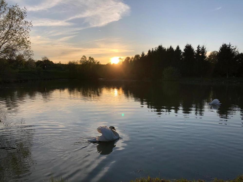Apartmany Dolni Vitkov Chrastava Luaran gambar